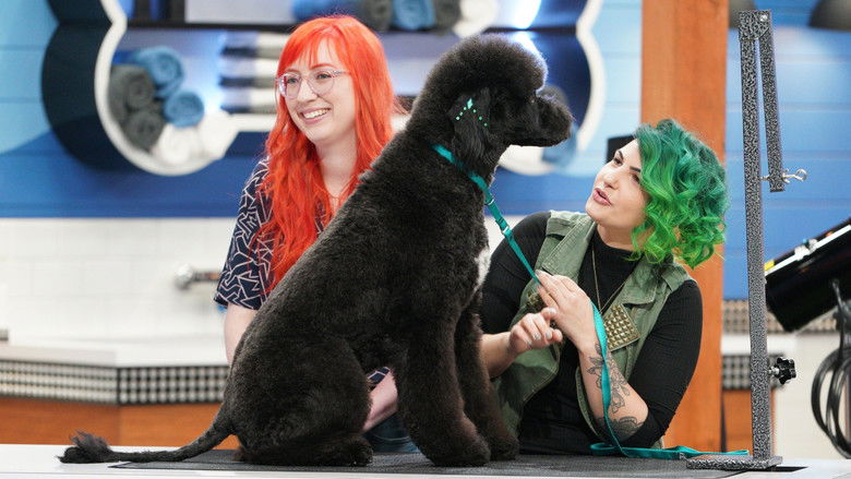 Still image for Pooch Perfect season 1 episode 1: From Grotty to Hottie