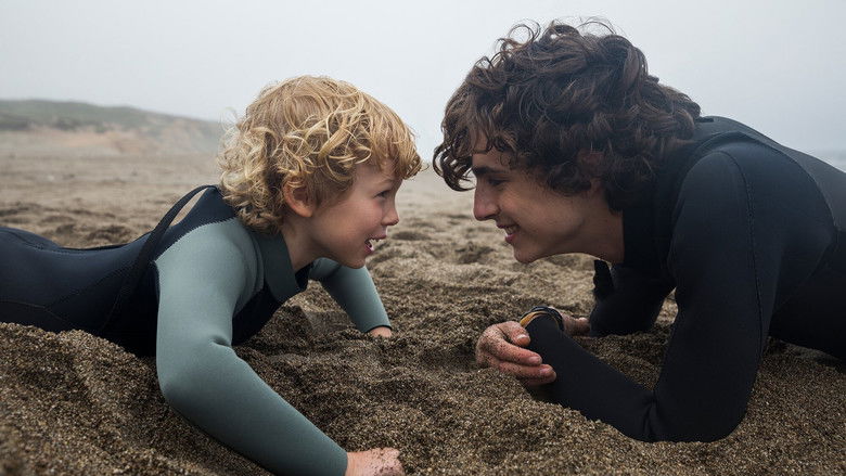 Beautiful Boy (2018)