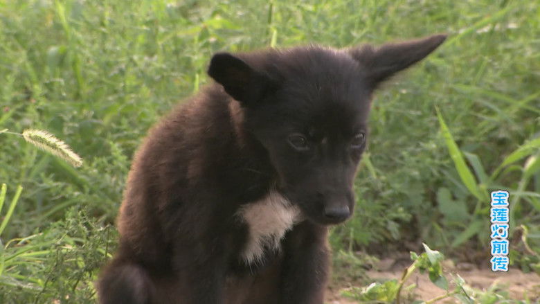 Still image for The Prelude of Lotus Lantern season 1 episode 7: Episode 7 Still image for The Prelude of Lotus Lantern season 1 episode 7: Episode 7