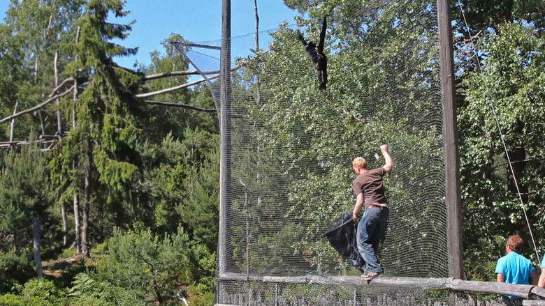 Still image for Dyrepasserne season 1 episode 7: Program 7