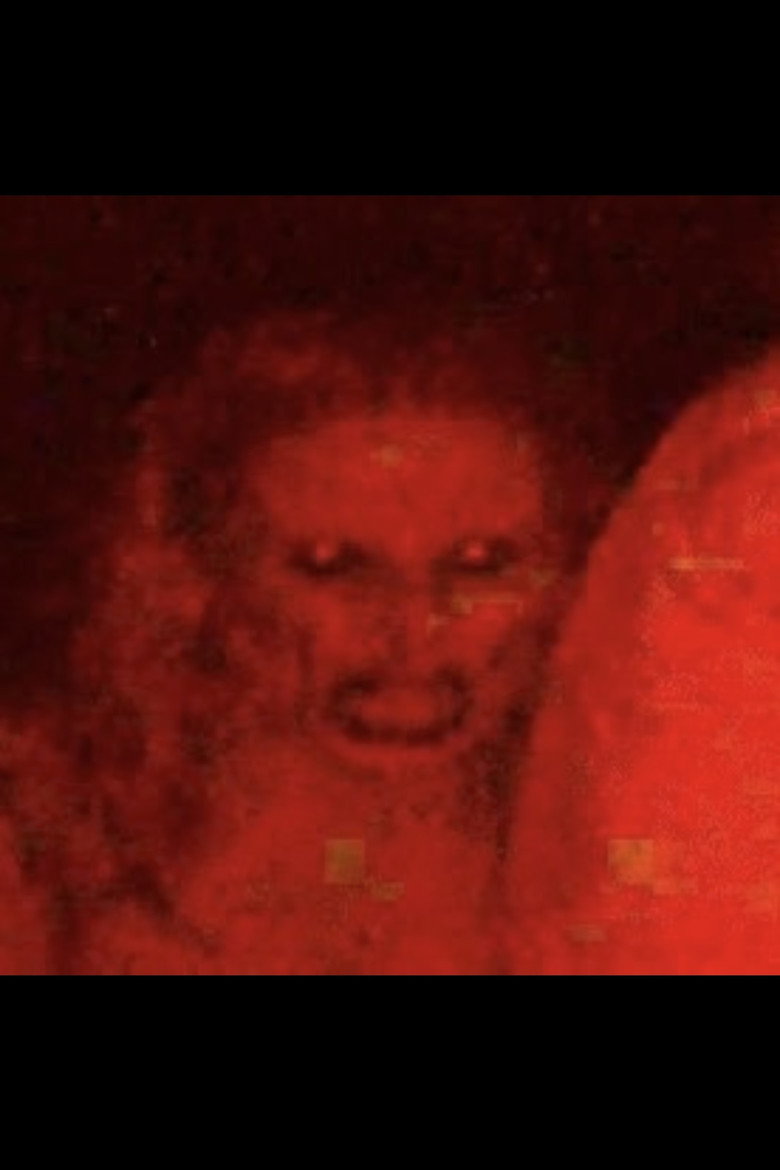 Imatge de The Willowbrook Tapes