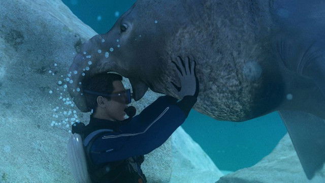 Still image for Do or Die season 1 episode 10: Disaster on the High Seas Still image for Do or Die season 1 episode 10: Disaster on the High Seas