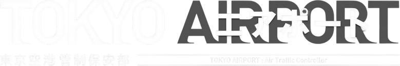 Аэропорт Токио