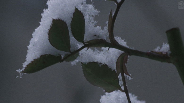 Aido: Slave of Love — scene 3