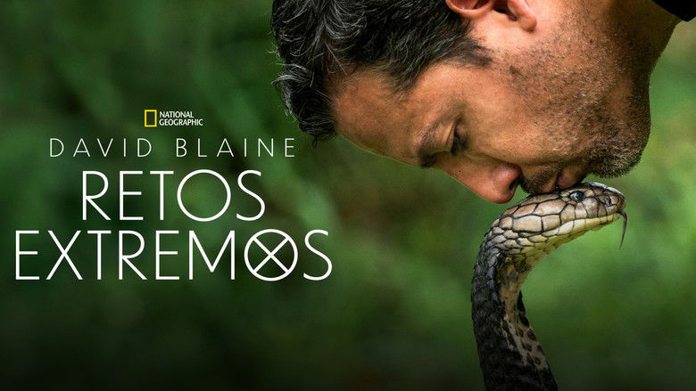 Gallery image from mdk3h9EpKFE5eG6UTqmkBaNVWBO.jpg