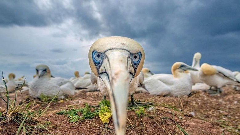 Still image for Unsere Meere: Die Nordsee. Die Ostsee season 1 episode 2: Episode 2
