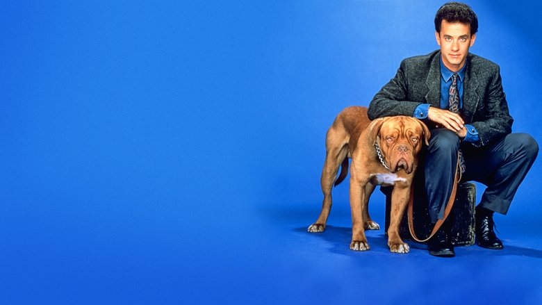 Turner & Hooch (1989)