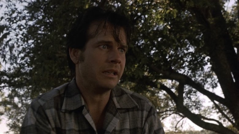 Gallery image from meZ9aEyzaAQmXIE4ttnnTvo5zsb.jpg