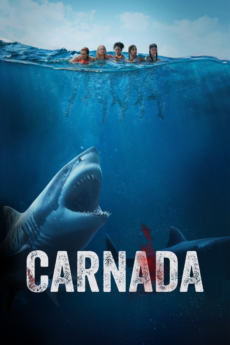 Póster la Película