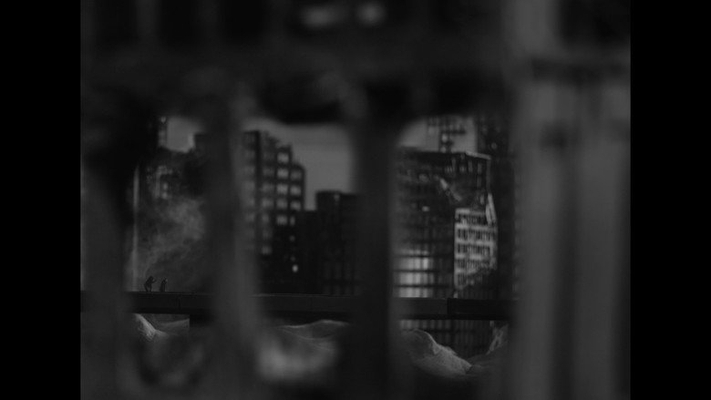 Gallery image from mesv4EB03GFlkuqaaf8Q5d8e53R.jpg