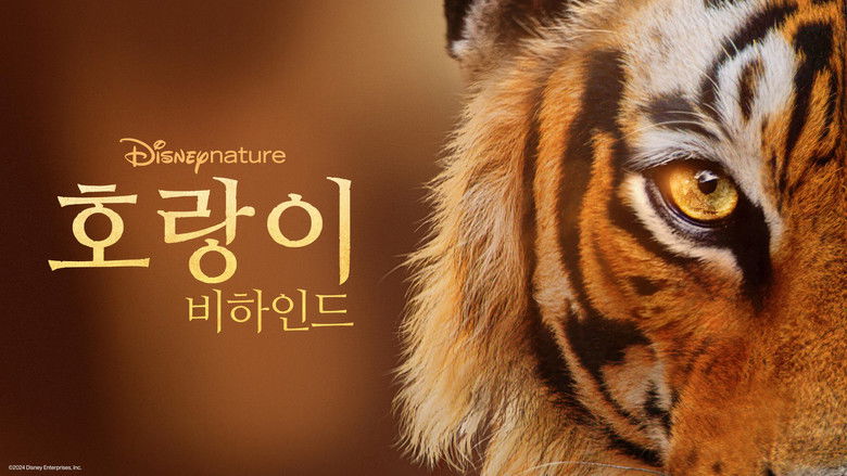 Gallery image from meyi3ZS6bJqjoz0H34m36LfqAT3.jpg