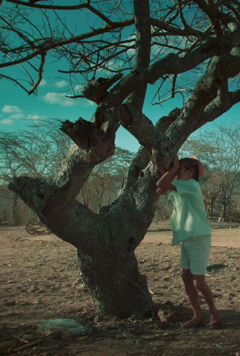 Imatge de Beiço De Estrada