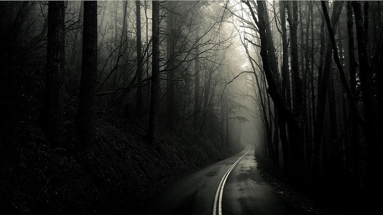 Gallery image from mfM78H6fgNpDFjXqy2OywfyffG2.jpg