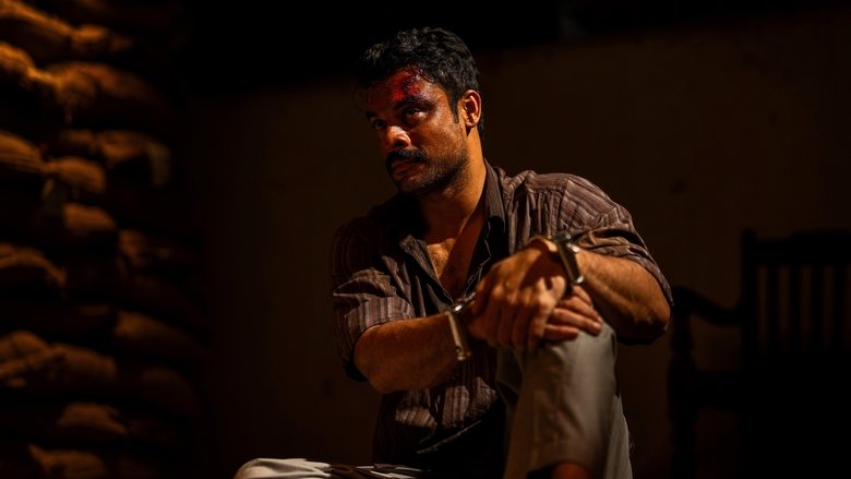 Gallery image from mgBBPuL4kkZlqZDdyPtggunS3ST.jpg