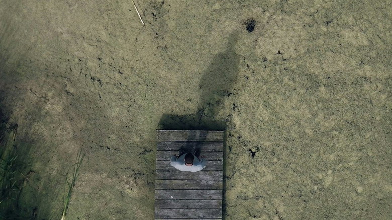 Image d'arrière-plan 4 du film Tågesyn