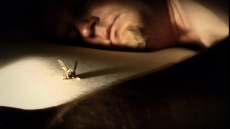 Debris Documentar (2012)