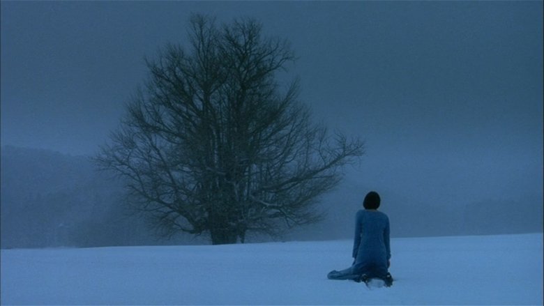 Gallery image from mgrF48rpdMJLIl8NYLFA4v6Lx9A.jpg