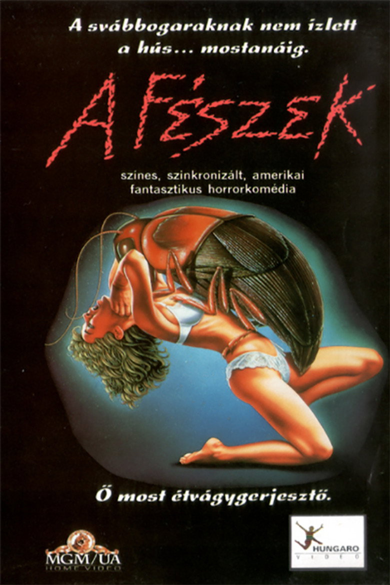 A f&eacute;szek (1988)