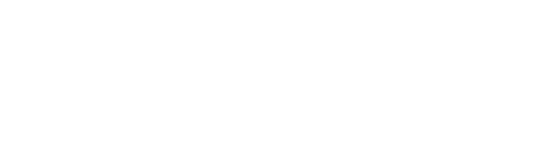 Imagen de El Guardaespaldas