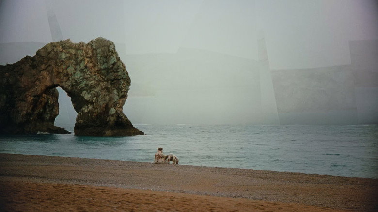 Backdrop