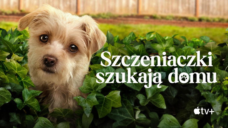 Gallery image from mjfc7ZxeM9FKOkqFuvTZJclmFME.jpg