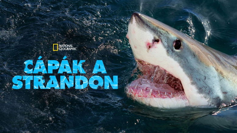 Gallery image from mjglZGi5yNKgpBp2MfQ3HJ4bhBb.jpg