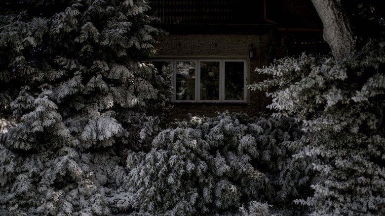 Gallery Image 58