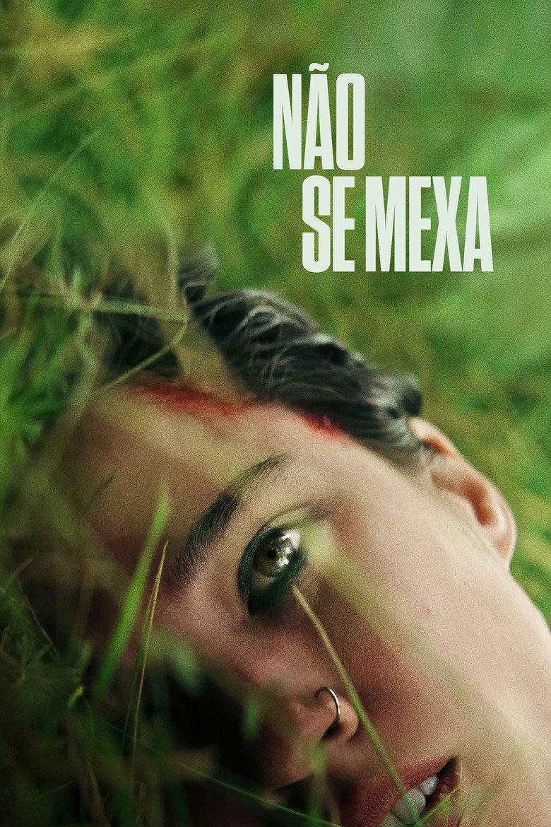 Póster la Película
