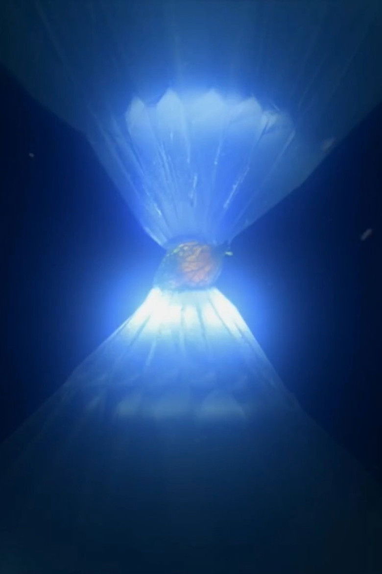 Imatge de ルカと太陽の花