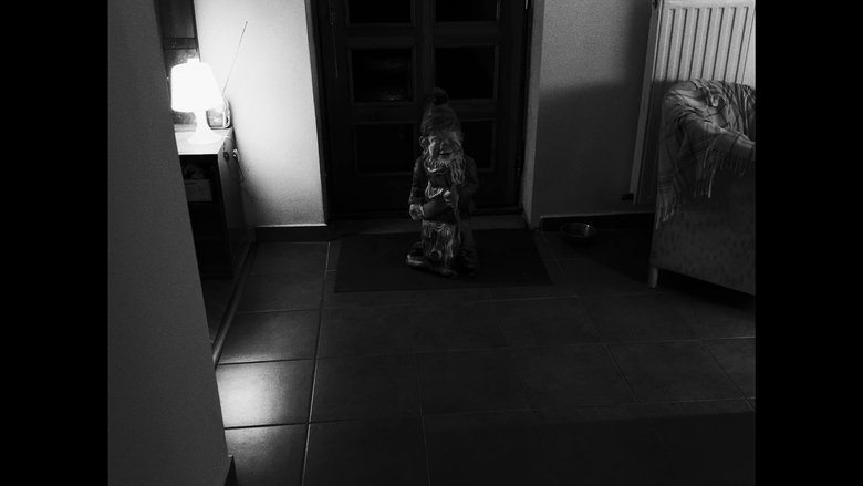 Gallery Image 10