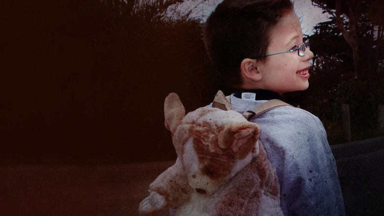 Imatge de Little Boy Lost: An ID Mystery