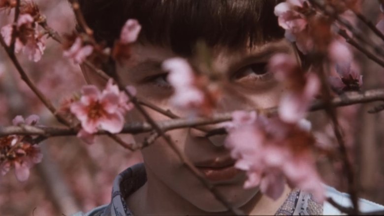 Gallery image from mkiufaS8x8I62TBt7x1jY9Hr8sA.jpg