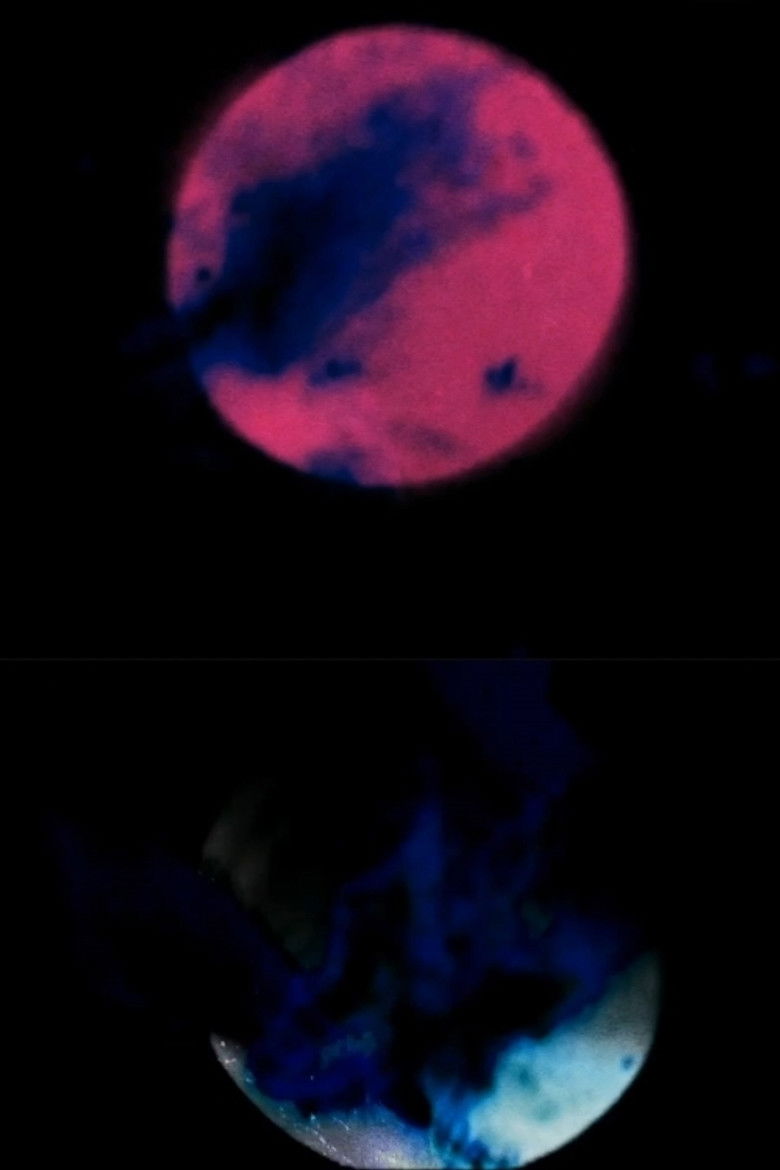 Imatge de Da morte nace a vida