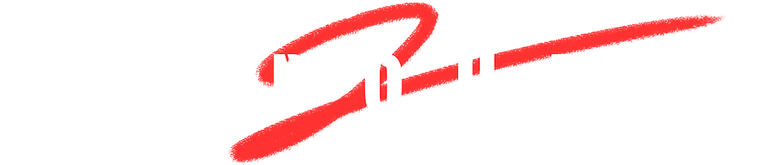 Сторонник 2