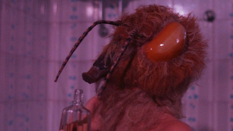 Gallery image from mlANKA5Hhp6dwlIENYxz42r12jF.jpg