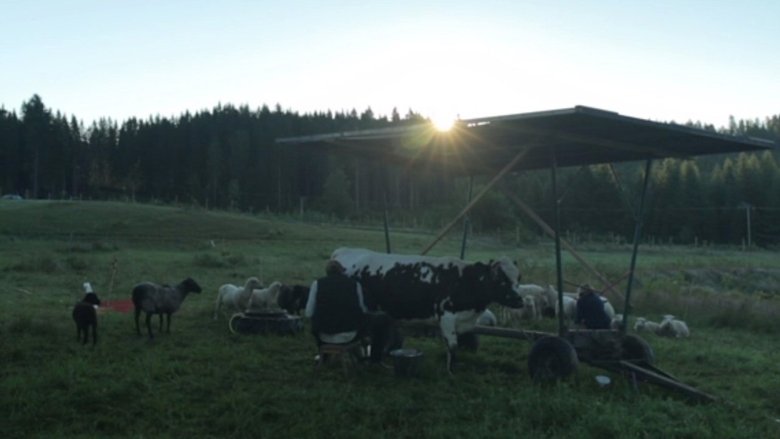 Gallery image from mmUMsnQkuuRkT15TdmNKFFVfcQm.jpg