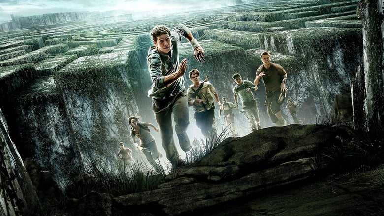 Maze Runner