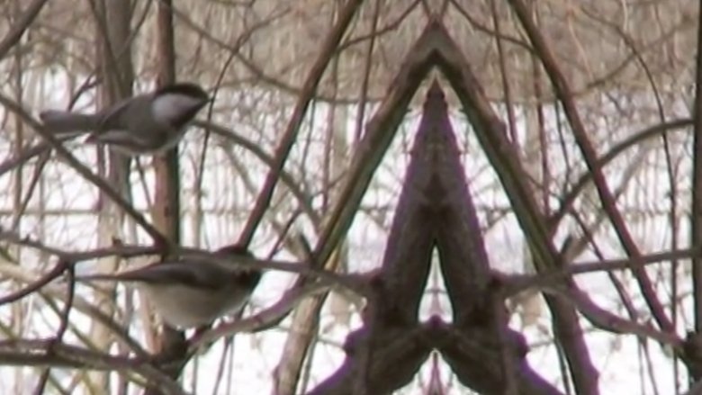 Gallery image from mnYLsL0UuNNRKSEJwsIUC9mwi0i.jpg