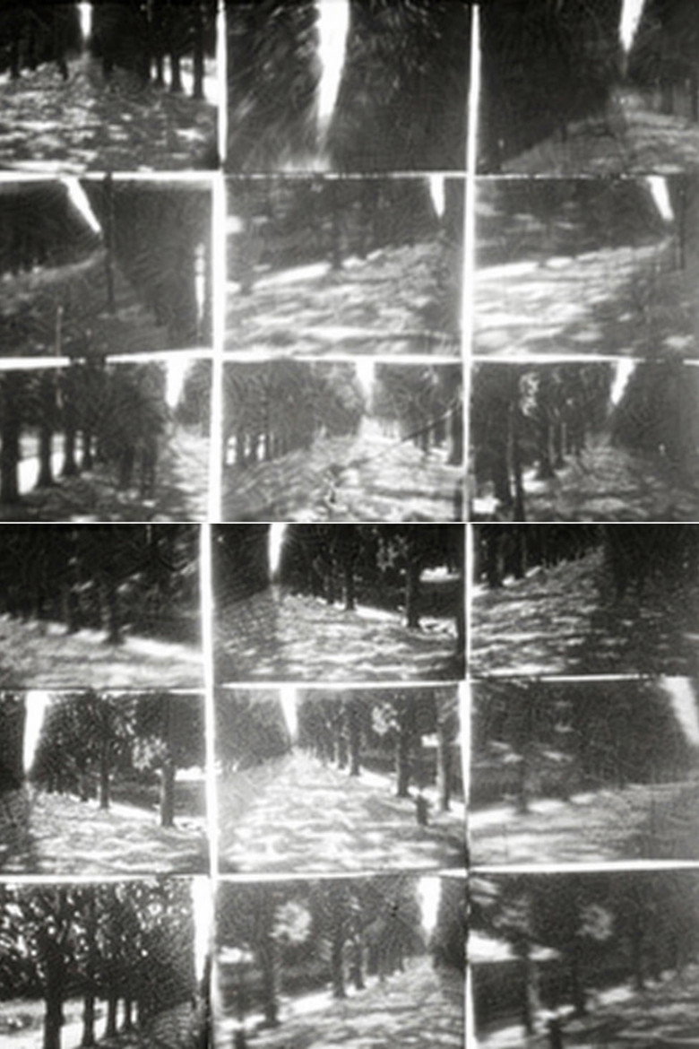 Simultanés/circostances 2. Jardin de plantes (1977)