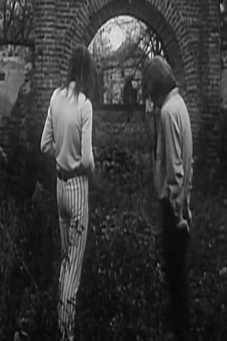 Imatge de Raz, dwa, trzy