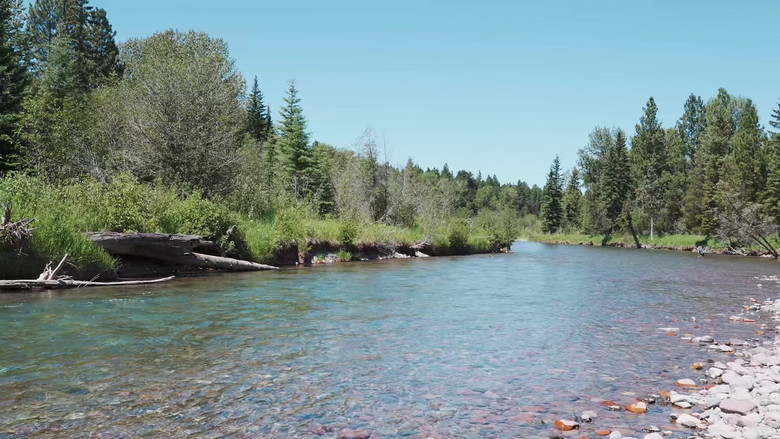 Gallery image from mpSvqMDnrK3NGfwToCnNFzu7xoI.jpg