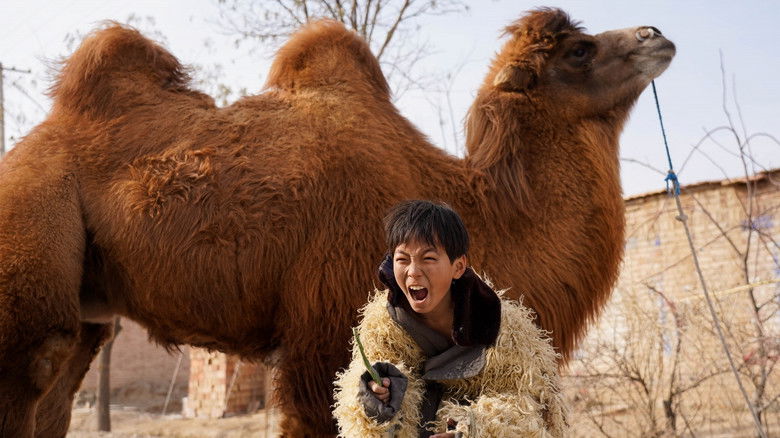 Gallery image from mqYIPSR5aHgWM7g8Eb5EeibDHky.jpg