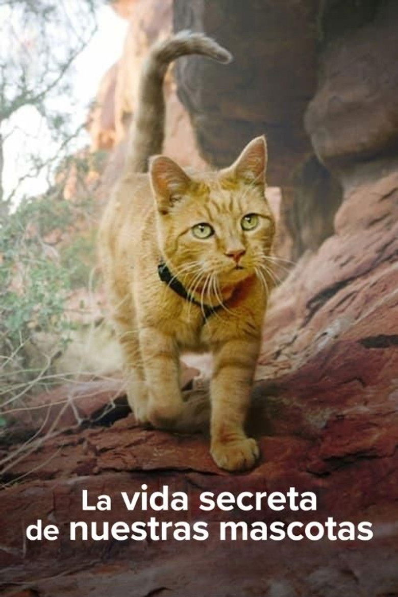 La vida secreta de nuestras mascotas