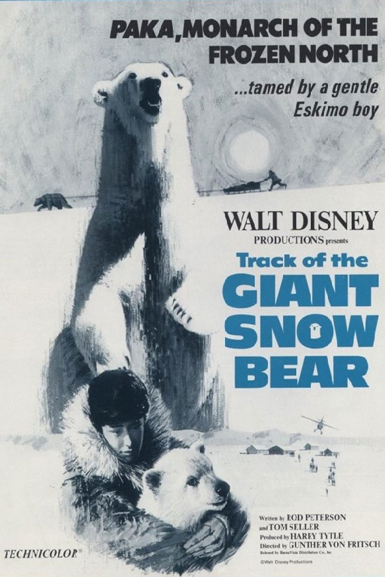 Imatge de Snow Bear
