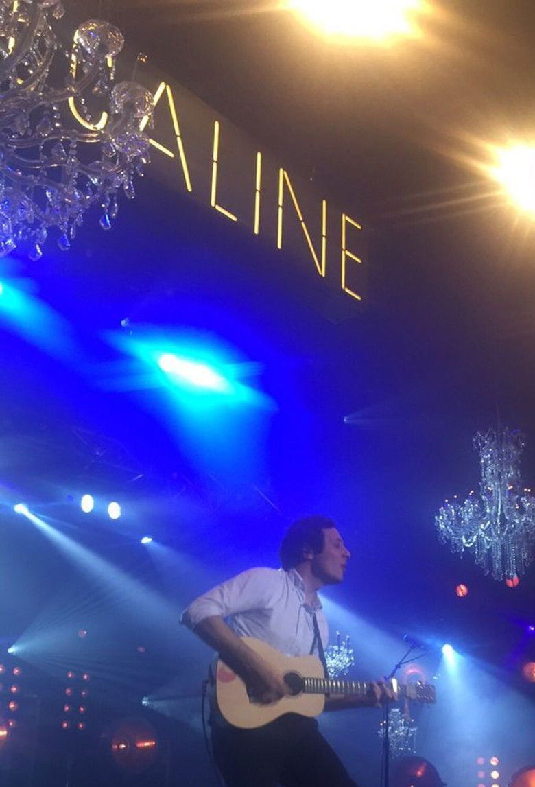 Imatge de Vianney - Alcaline le Concert