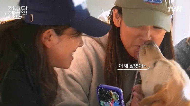 Still image for Canada Check-in season 1 episode 2: Episode 2