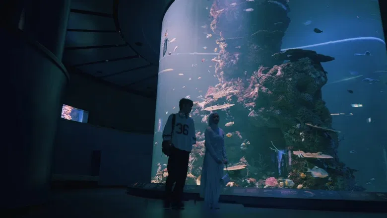 Image d'arrière-plan 5 du film Ahlan Singapore