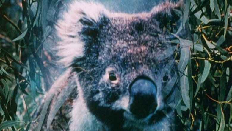 Imatge de Australian Bush