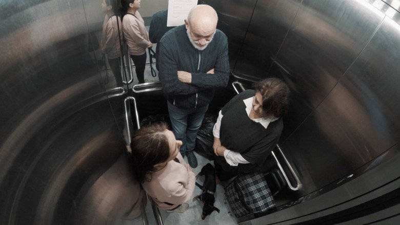 Imatge de 16 Plantas / 1 Ascensor