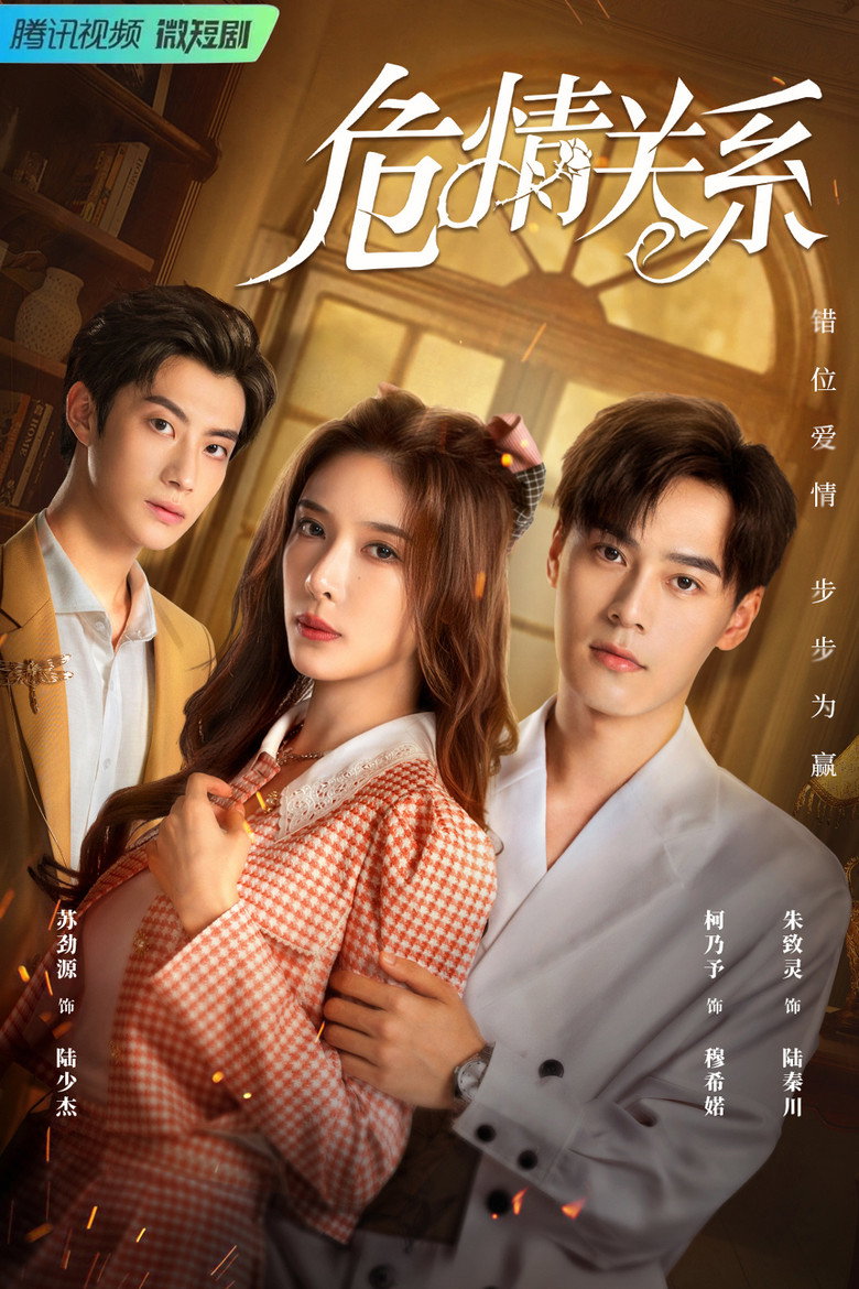 Official poster for 危情关系